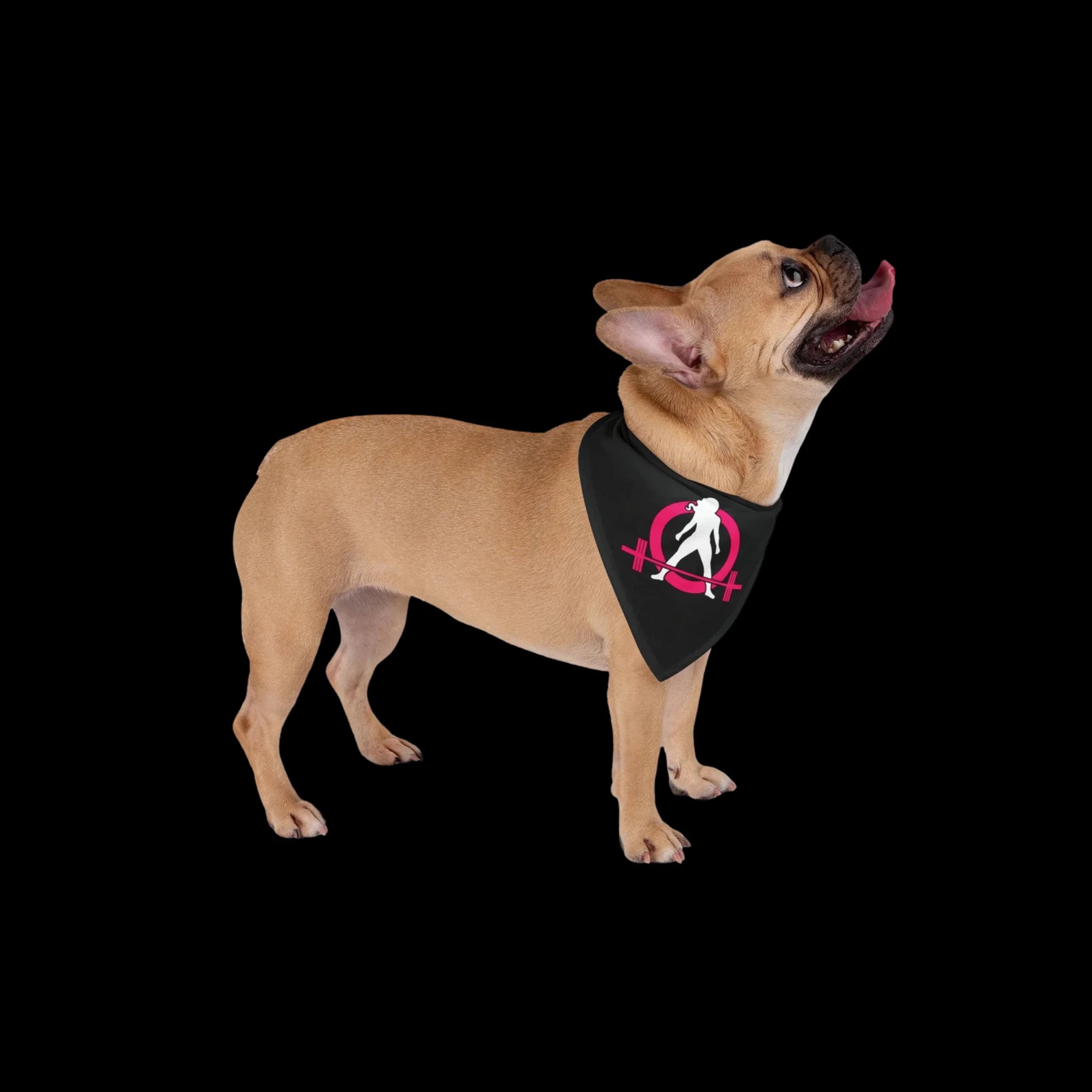 Pet Products