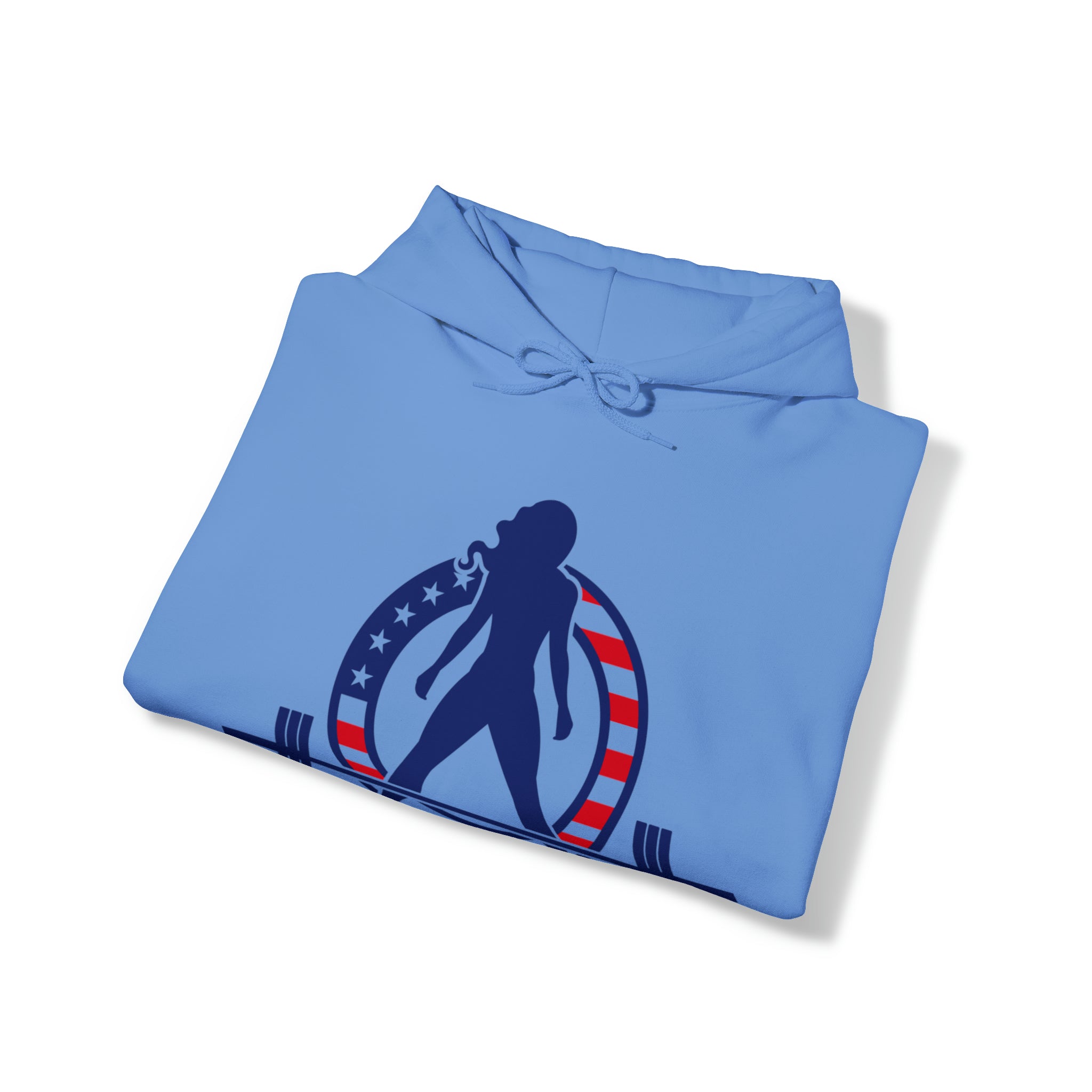 USA Logo - Unisex Heavy Blend Hooded Sweatshirt - USA Logo Light - Plain Back