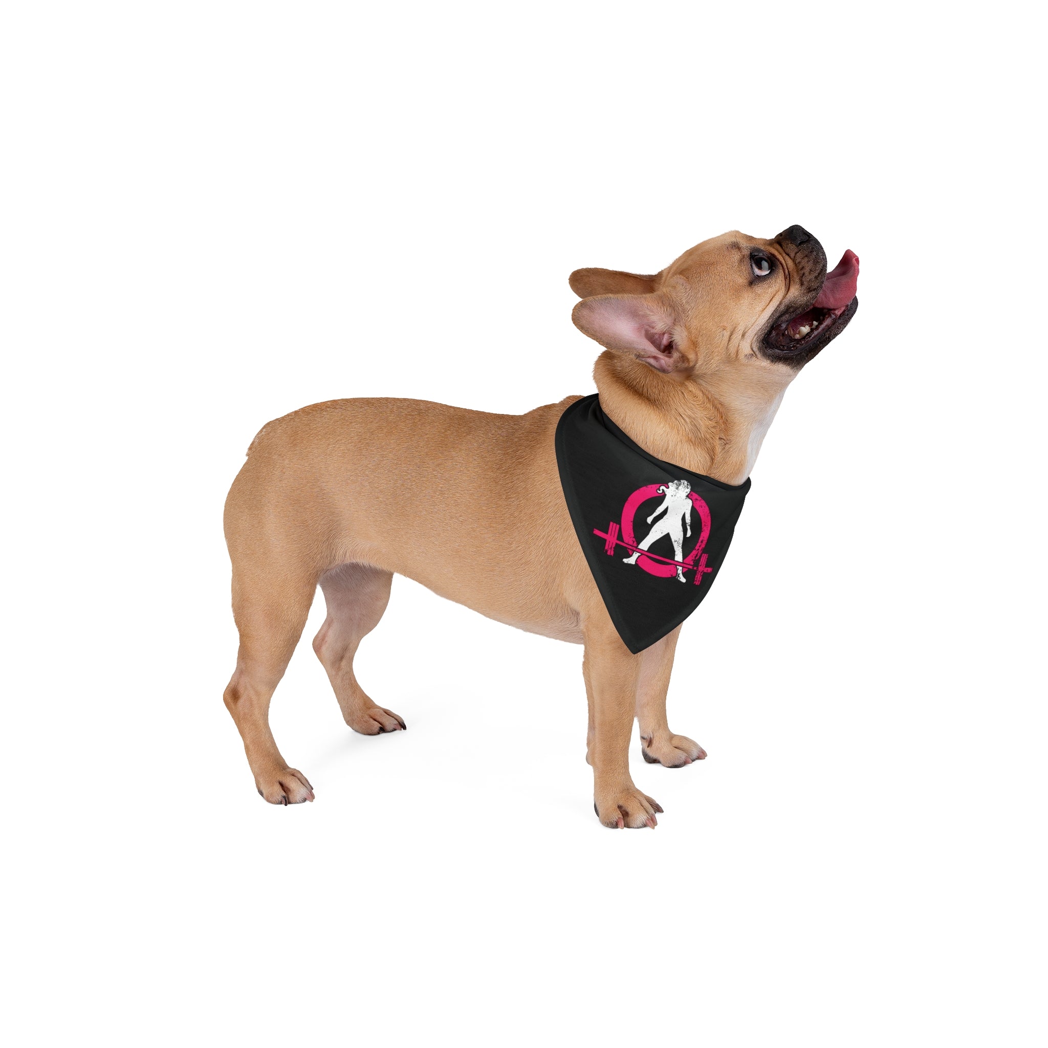 Pet Bandana - Black Distressed