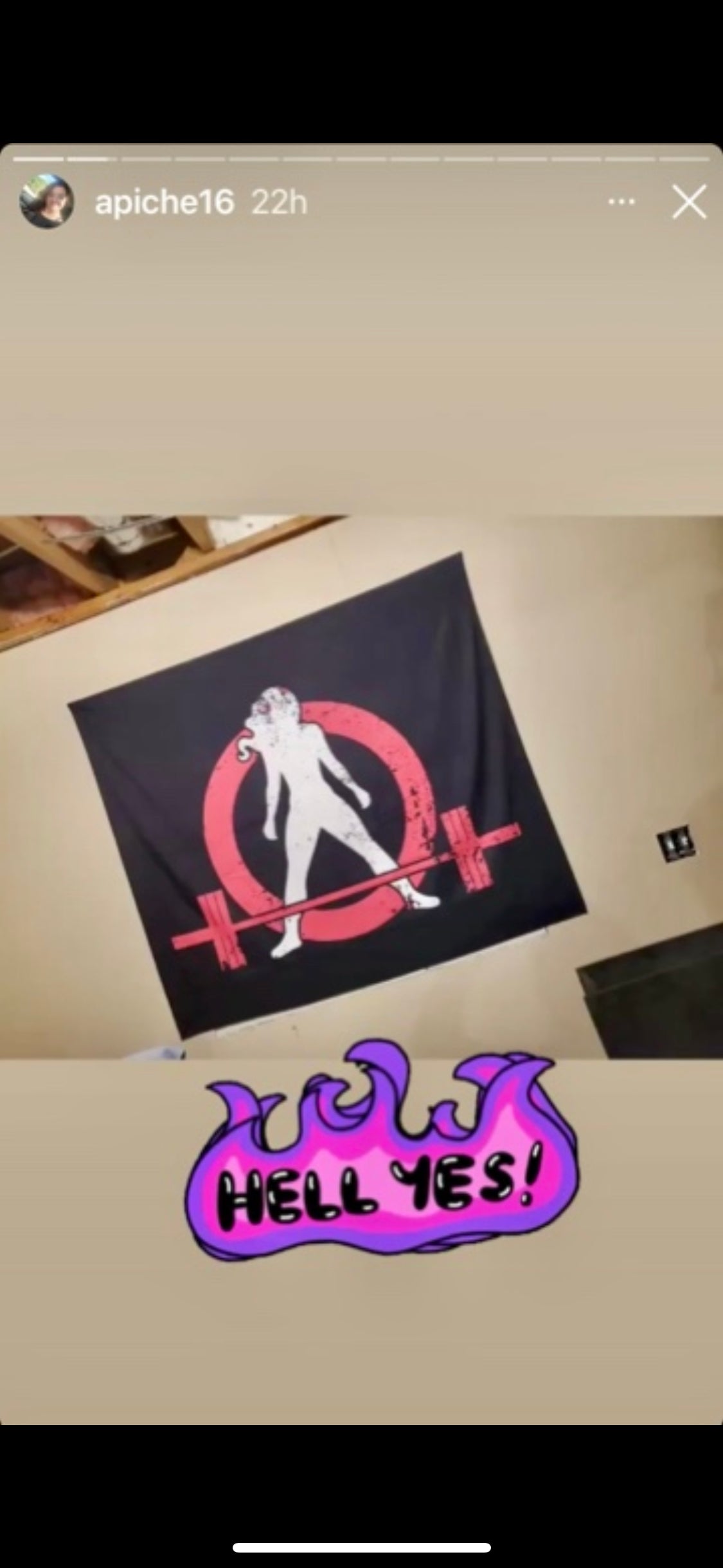 Indoor Wall Tapestries - Distressed Classic Logo