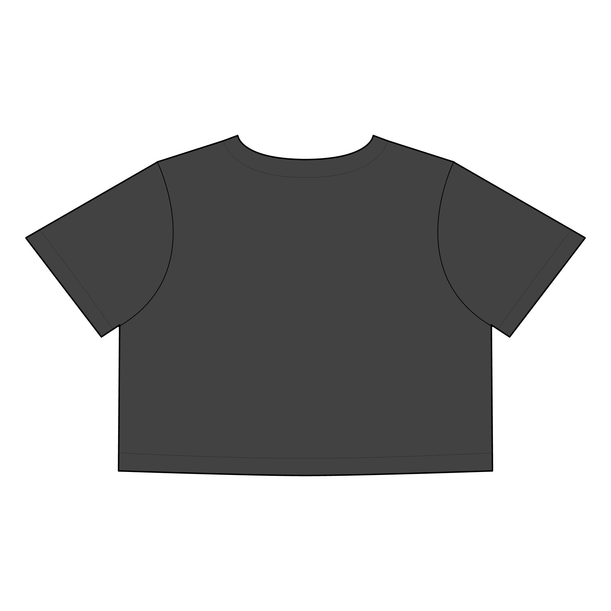 Just Lift It - Women's Faded Crop Tee