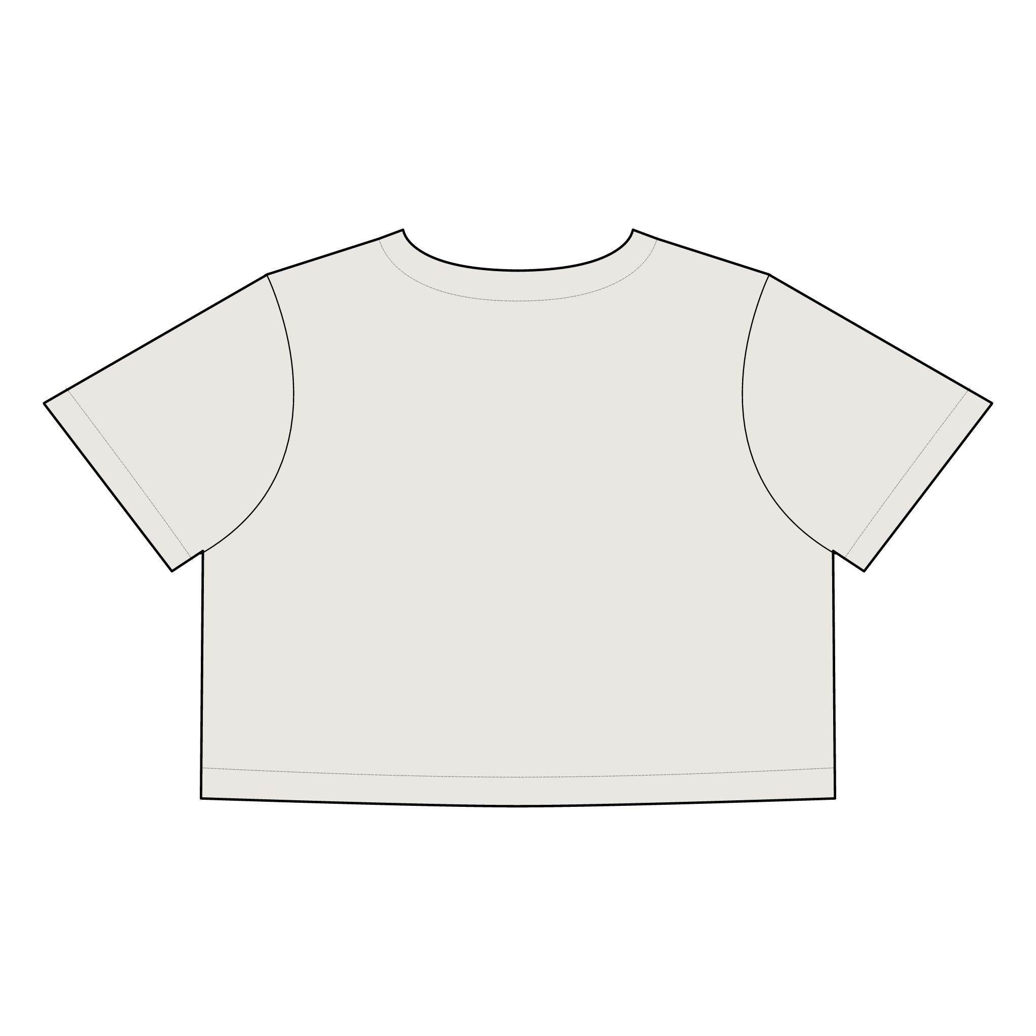 Just Lift It - Women's Faded Crop Tee