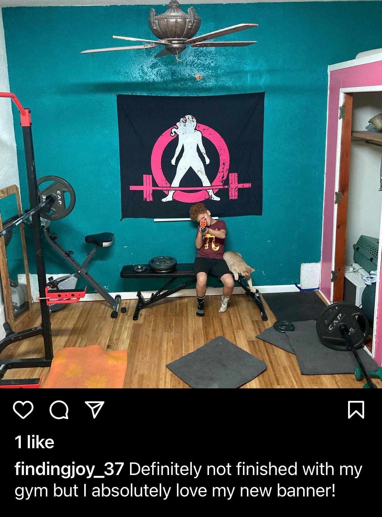 Indoor Wall Tapestries - Distressed Classic Logo