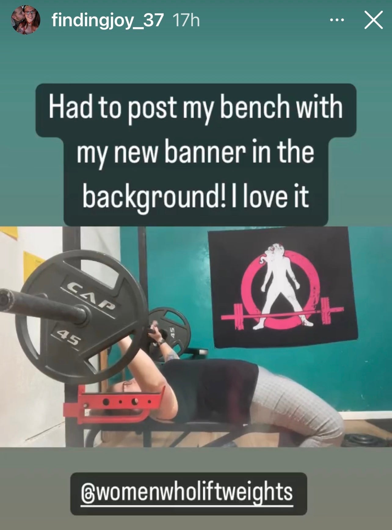 Indoor Wall Tapestries - Distressed Classic Logo