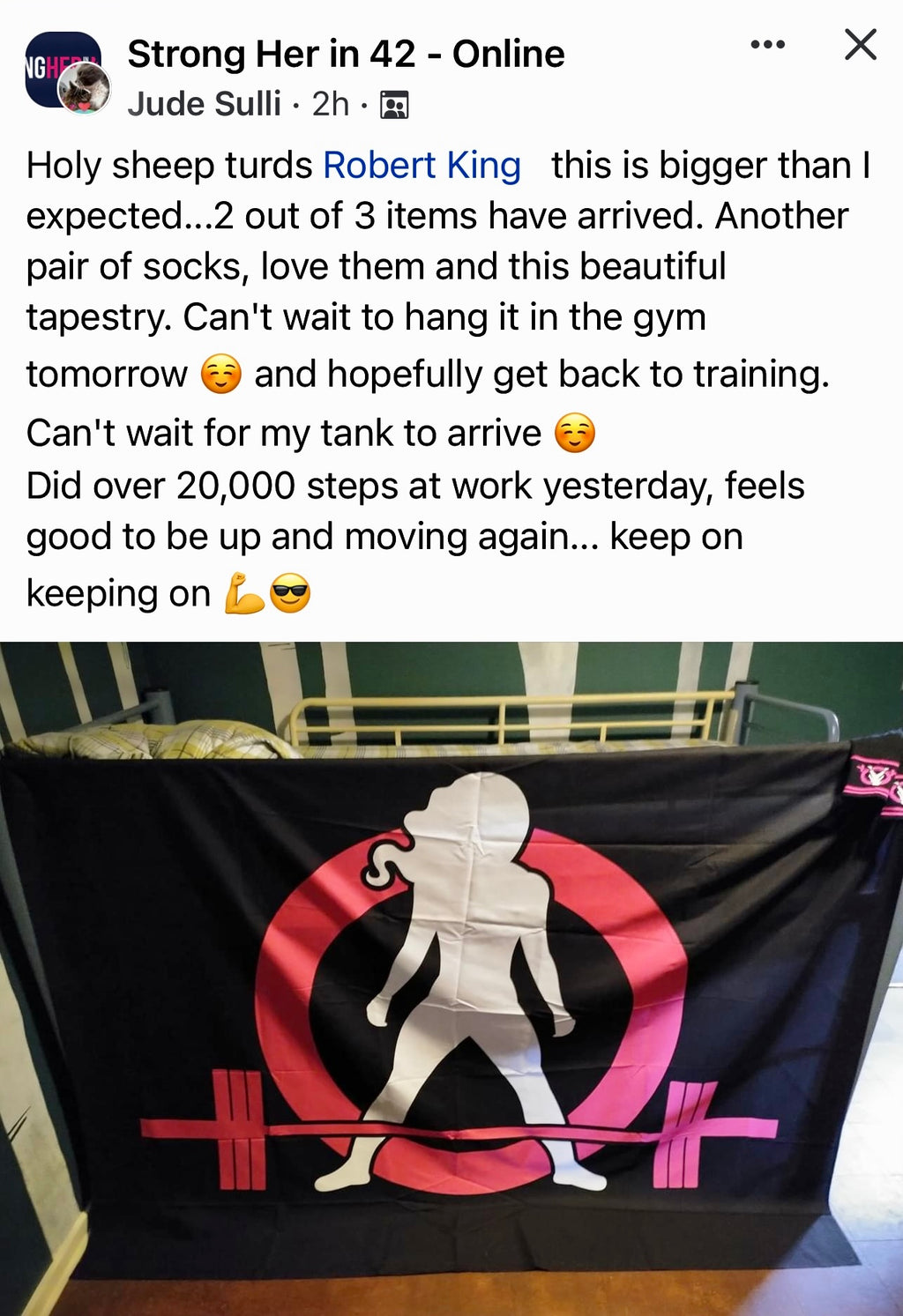 Indoor Wall Tapestries - Distressed Classic Logo